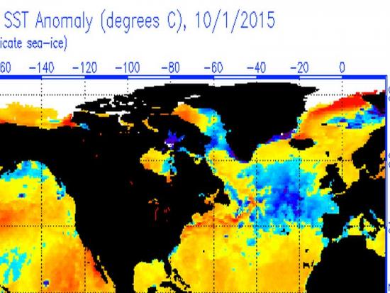 Inverno 2015-2016 freddo? Complici Niño e Nord atlantico Inverno 2015-2016 freddo? Complici Niño e Nord atlantico