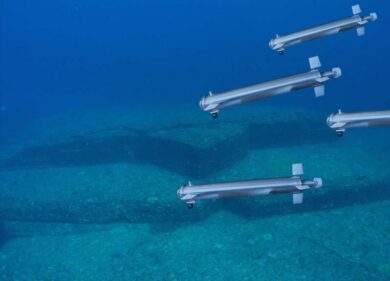 Innovazione, pesci-robot per difendere Venezia dall’acqua alta