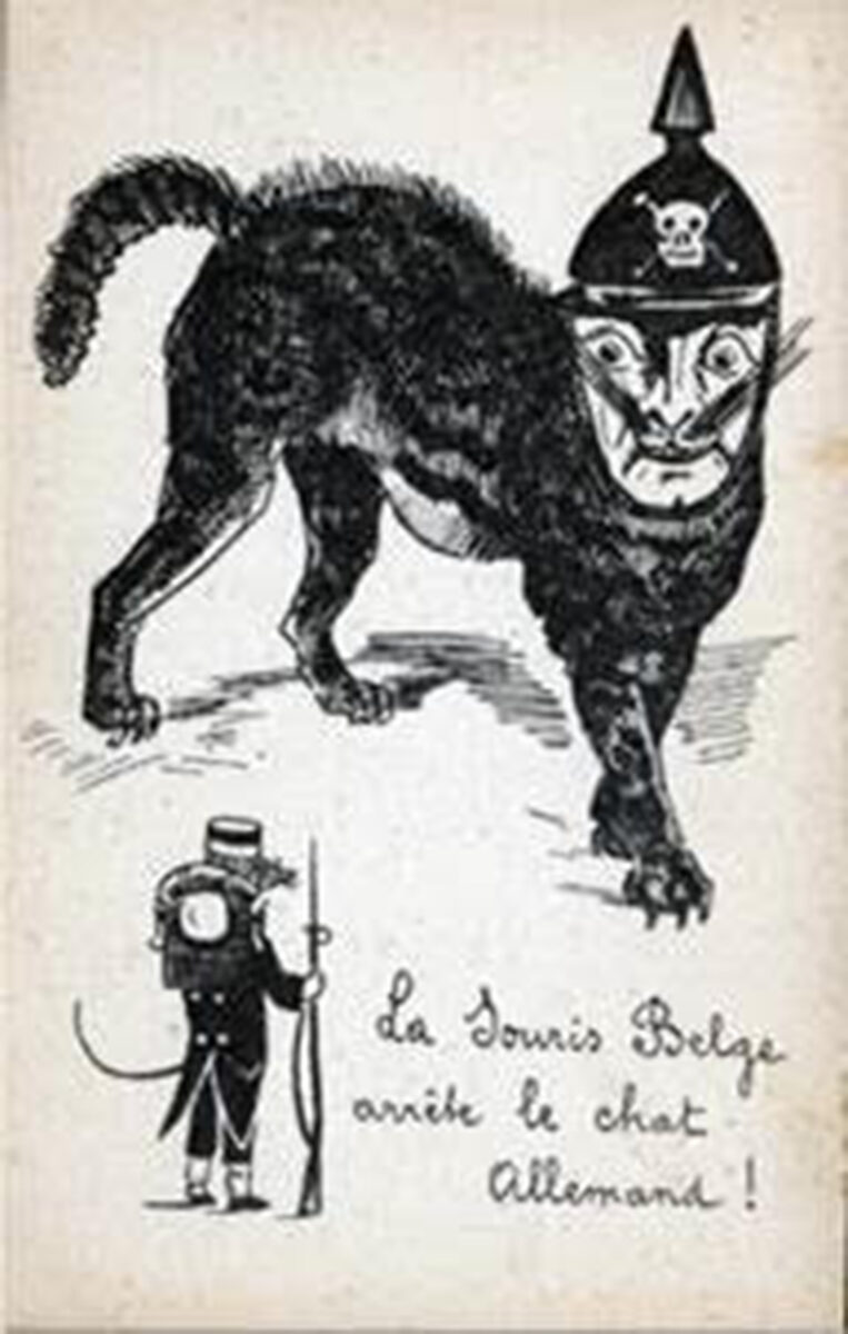 “Il gatto e l’uomo” insieme da sempre. Fotogallery
