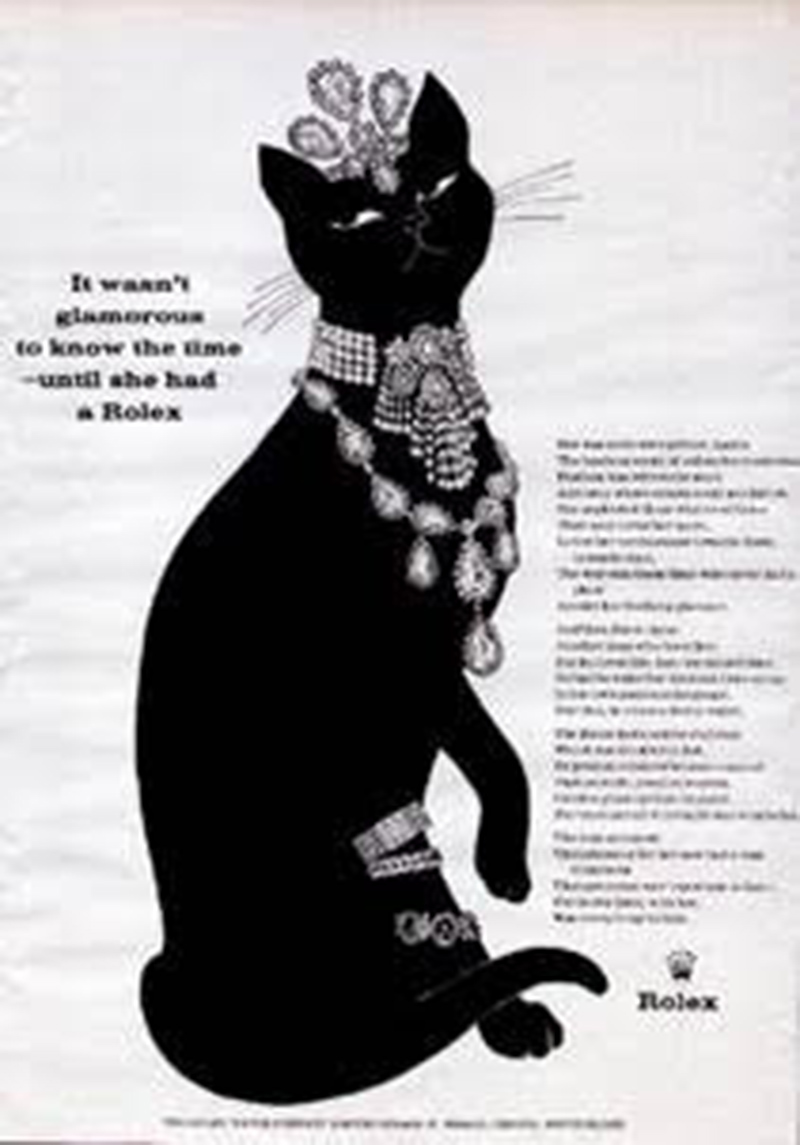 “Il gatto e l’uomo” insieme da sempre. Fotogallery