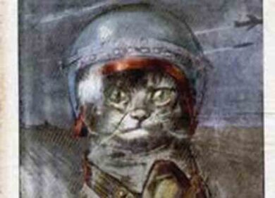 “Il gatto e l’uomo” insieme da sempre. Fotogallery