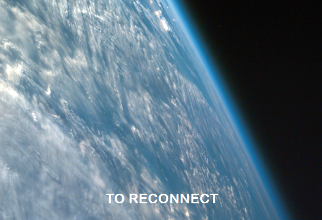 Expo 2015/ Padiglione Austria: ecco il significato della foresta Expo 2015/ Padiglione Austria: ecco il significato della foresta