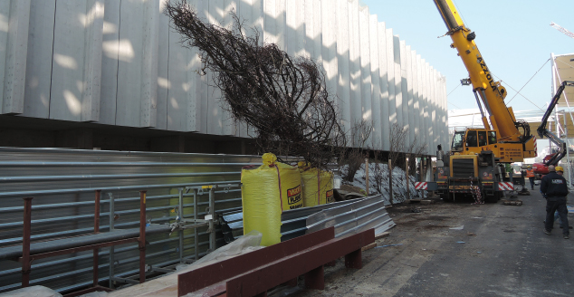 Expo 2015/ Padiglione Austria: ecco il significato della foresta Expo 2015/ Padiglione Austria: ecco il significato della foresta