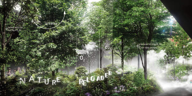 Expo 2015/ Padiglione Austria: ecco il significato della foresta Expo 2015/ Padiglione Austria: ecco il significato della foresta