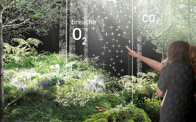 Expo 2015/ Padiglione Austria: ecco il significato della foresta Expo 2015/ Padiglione Austria: ecco il significato della foresta