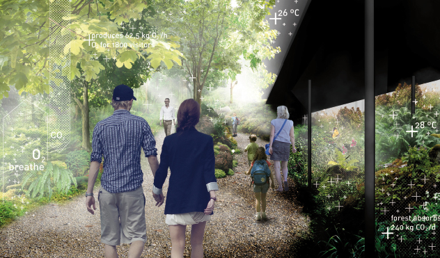 Expo 2015/ Padiglione Austria: ecco il significato della foresta Expo 2015/ Padiglione Austria: ecco il significato della foresta