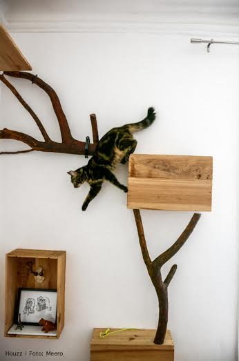 Animali, italiani pet-friendly. Per loro rivoluzionano anche la casa