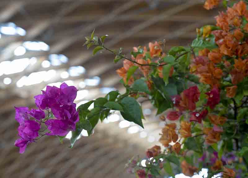 A Rimini cresce la green economy A Rimini cresce la green economy