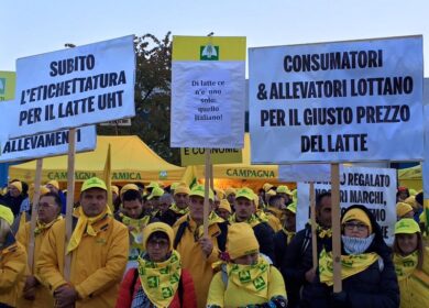 Latte, si allarga la protesta. Coldiretti: “Hanno chiuso 4mila stalle”