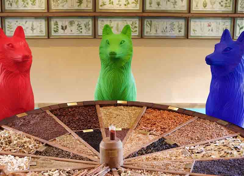 Galleria foto 'Cracking art invade la sede Branca con i suoi animali colorati' - foto 1