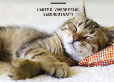 Trova la felicità con la filosofia dei gatti