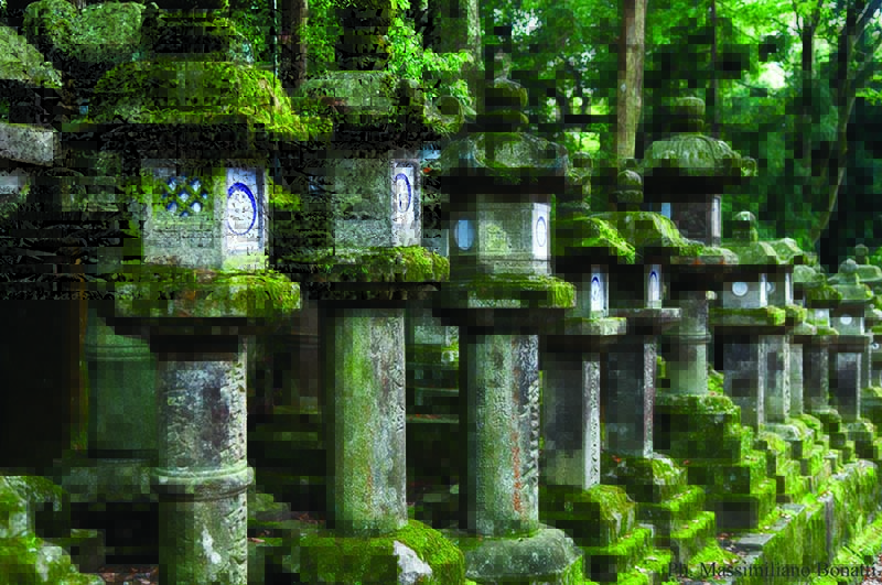 La cultura giapponese di Nara: tè verde e ceramiche La cultura giapponese di Nara: tè verde e ceramiche