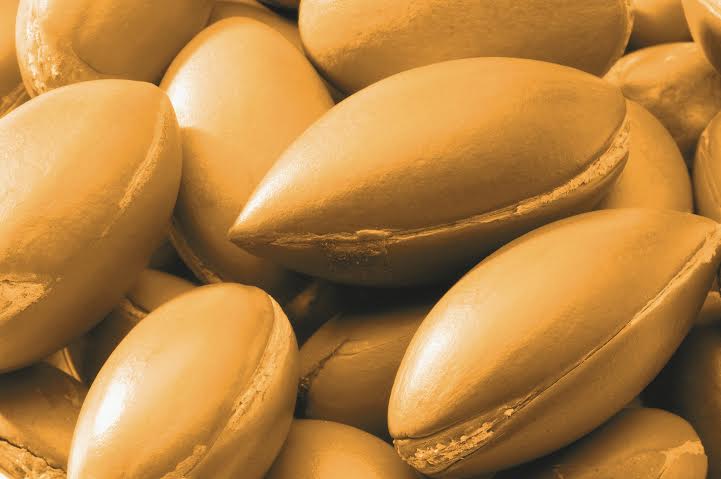 Olio di argan, ecco perché fa bene alla pelle Olio di argan, ecco perché fa bene alla pelle