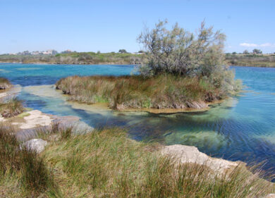 Salento e natura: viaggio nei parchi e nelle aree marine protette. FOTO