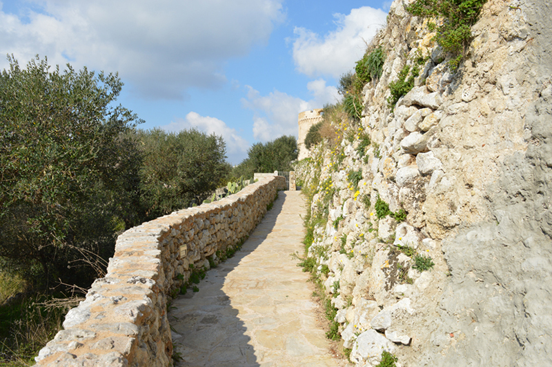 Salento e natura: viaggio nei parchi e nelle aree marine protette. FOTO Salento e natura: viaggio nei parchi e nelle aree marine protette. FOTO