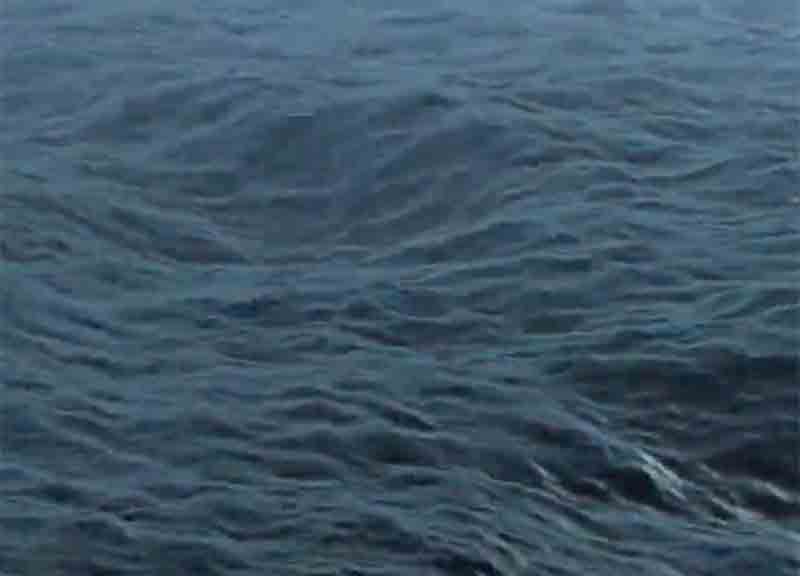 Cambiamenti climatici: una raccolta dei migliori video mai realizzati