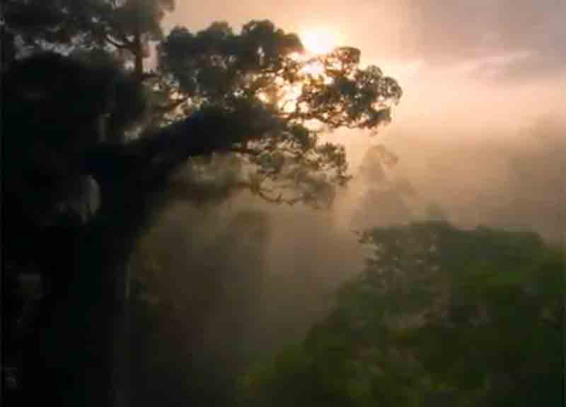 Cambiamenti climatici: una raccolta dei migliori video mai realizzati