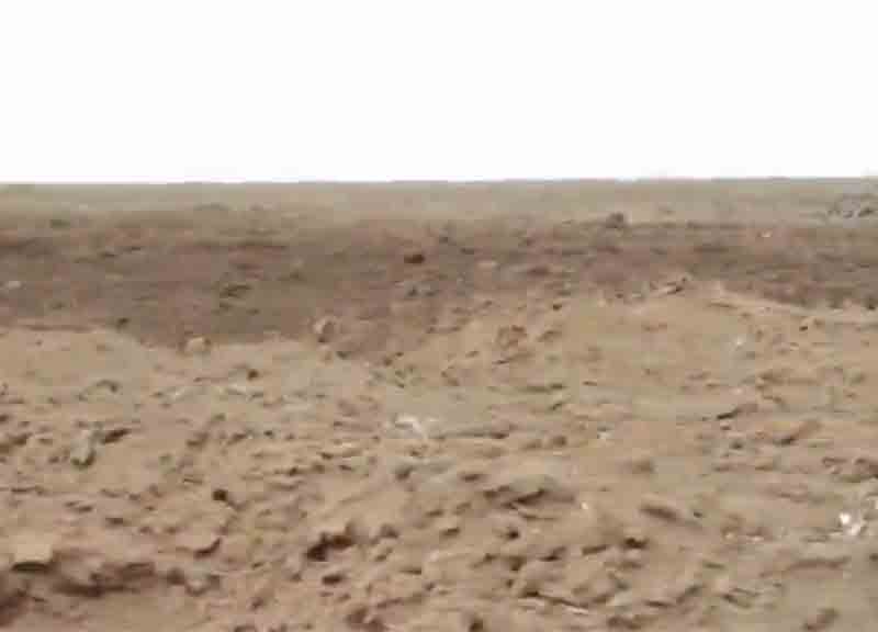 Cambiamenti climatici: una raccolta dei migliori video mai realizzati