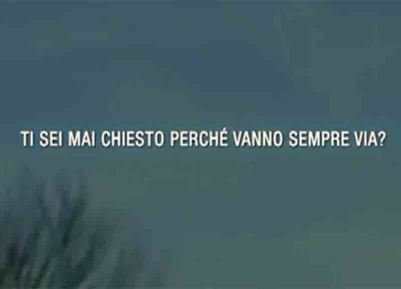 Cambiamenti climatici: una raccolta dei migliori video mai realizzati