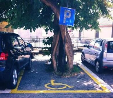 Giornata disabilità, “una società che include è una società più forte”