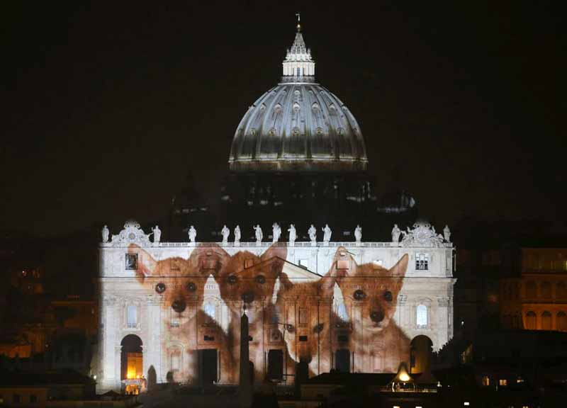 Fiat Lux, incantati in centomila. I marmi di San Pietro prendono vita Fiat Lux, incantati in centomila. I marmi di San Pietro prendono vita