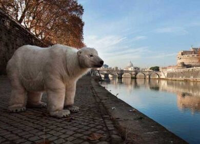 Clima: scatta il codice rosso. A Roma arriva l’orso bianco