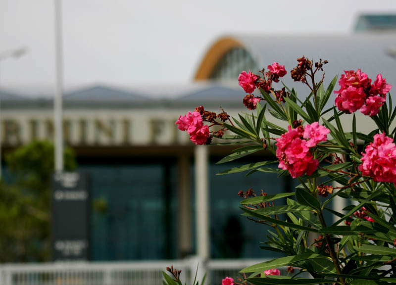 Rimini Fiera: Ravanelli nuovo Direttore Generale Rimini Fiera: Ravanelli nuovo Direttore Generale