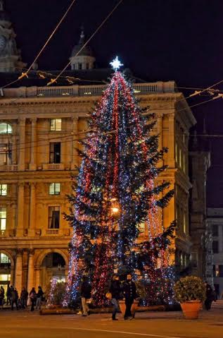 Natale, gli alberi più belli d’Italia: LE IMMAGINI
