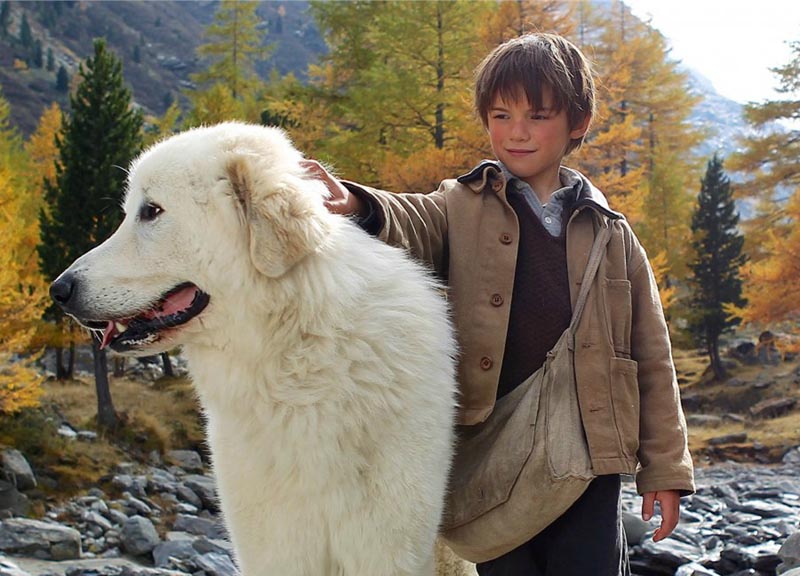 Cinema a 4 zampe per baby cinofili