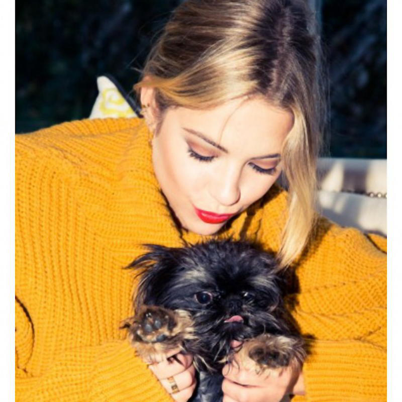 Animali e botti di Capodanno: 30 cose da fare (o non fare) a mezzanotte Animali e botti di Capodanno: 30 cose da fare (o non fare) a mezzanotte
