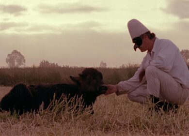 Bella e perduta e altri Pulcinella