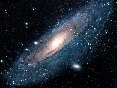 Il primo fiore sbocciato nello spazio saluta il Sole