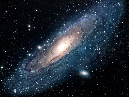 Il primo fiore sbocciato nello spazio saluta il Sole Il primo fiore sbocciato nello spazio saluta il Sole