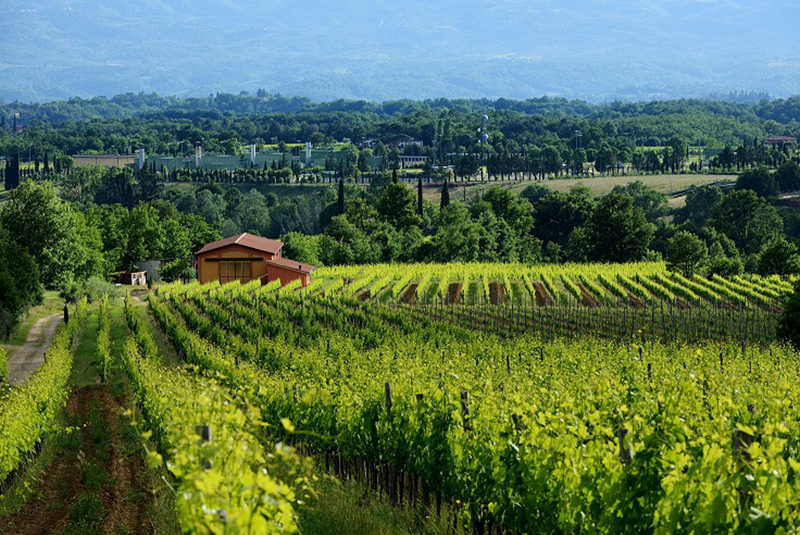 Agroalimentare: 6mld per le imprese Agroalimentare: 6mld per le imprese