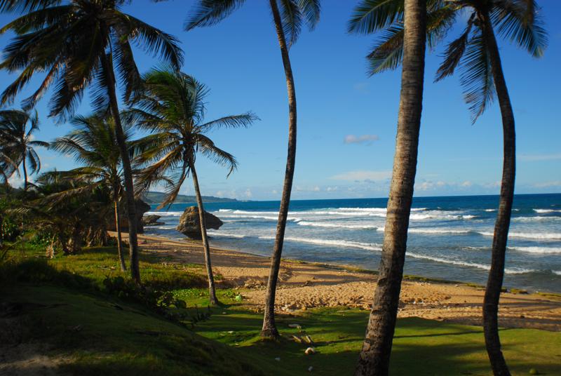 Barbados festeggia i 50 anni d’indipendenza. Sconti sui viaggi Barbados festeggia i 50 anni d’indipendenza. Sconti sui viaggi