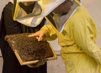 Miart 2016, Object: il rapporto tra arte e design