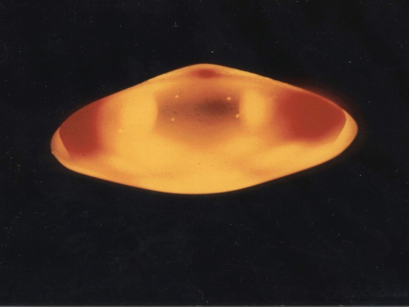 Invasione ufo, la scienza mostra le prove. “I marziani esistono e mi hanno rapito” Invasione ufo, la scienza mostra le prove. “I marziani esistono e mi hanno rapito”
