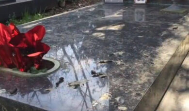 Milano, le nutrie invadono il cimitero di Lambrate. Video-foto