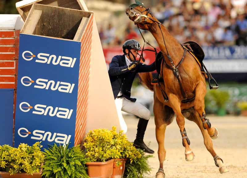 Incassi milionari, stalle fatiscenti. Piazza di Siena: il conto del Comune