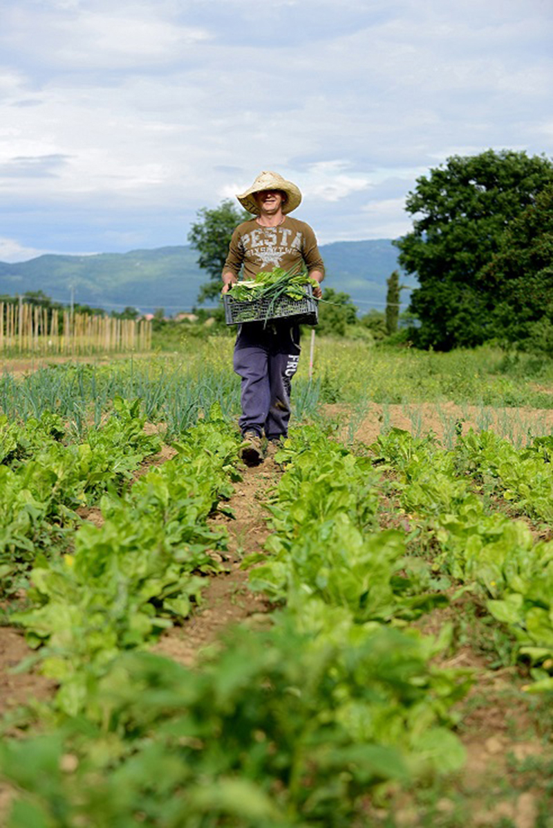 Gli imprenditori under 35 battono la crisi. Edilizia, ristoranti e agricoltura: è boom Gli imprenditori under 35 battono la crisi. Edilizia, ristoranti e agricoltura: è boom