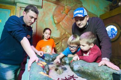 Gardaland SEA LIFE Aquarium, una festa del Papà all’insegna dei mari