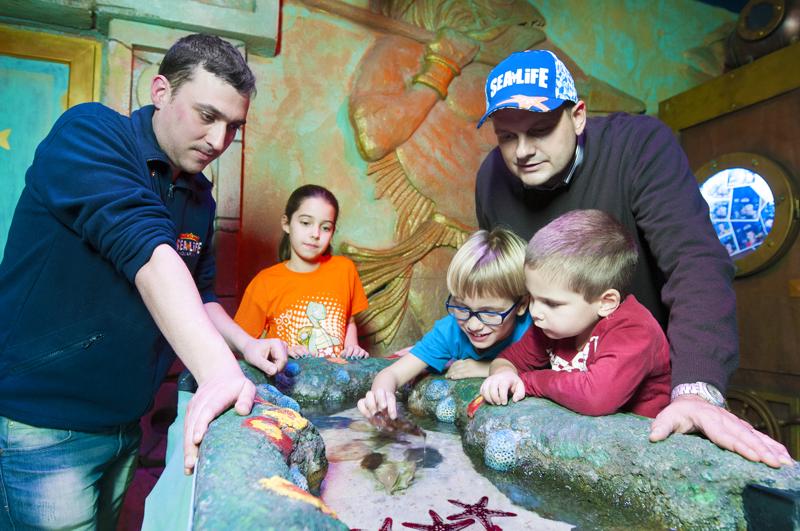 Gardaland SEA LIFE Aquarium, una festa del Papà all’insegna dei mari Gardaland SEA LIFE Aquarium, una festa del Papà all’insegna dei mari