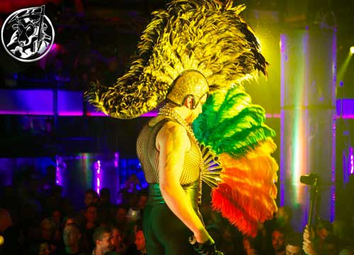 Muccassassina cerca talenti. Supershow con Mark Knight