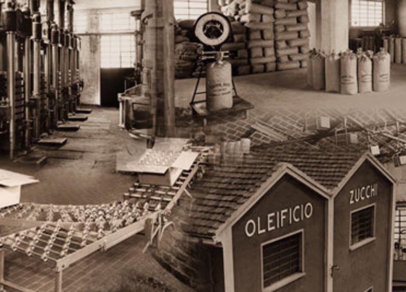 Olio Zucchi, consigliato da Legambiente, è prodotto dell’anno Olio Zucchi, consigliato da Legambiente, è prodotto dell’anno