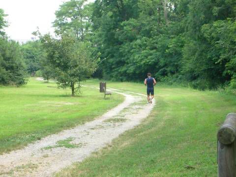 Parco Agricolo Sud Milano: educazione ambientale con il Progetto IdEA Parco Agricolo Sud Milano: educazione ambientale con il Progetto IdEA