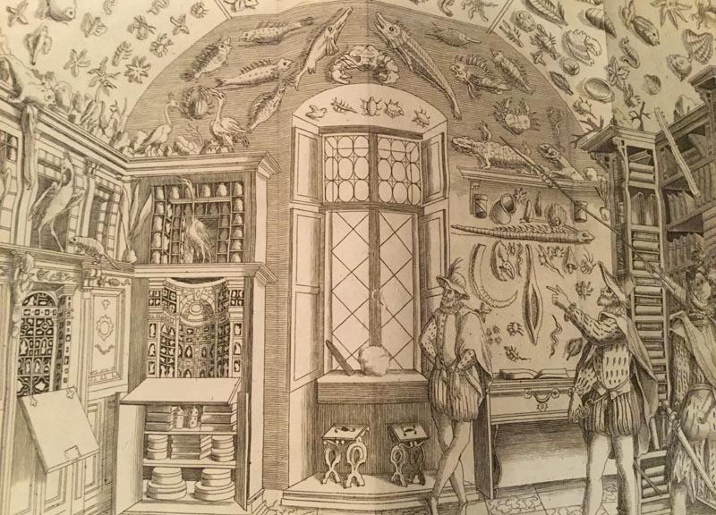 Nel tempio del libro antico tra preziosi incunaboli del 1400