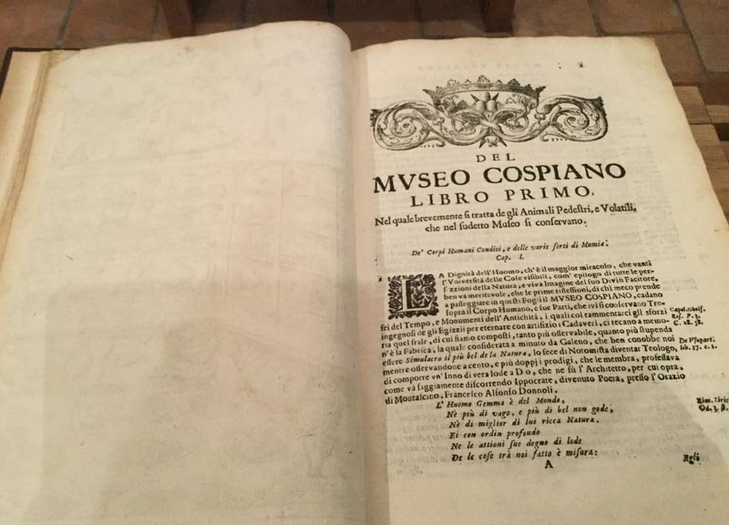 Nel tempio del libro antico tra preziosi incunaboli del 1400
