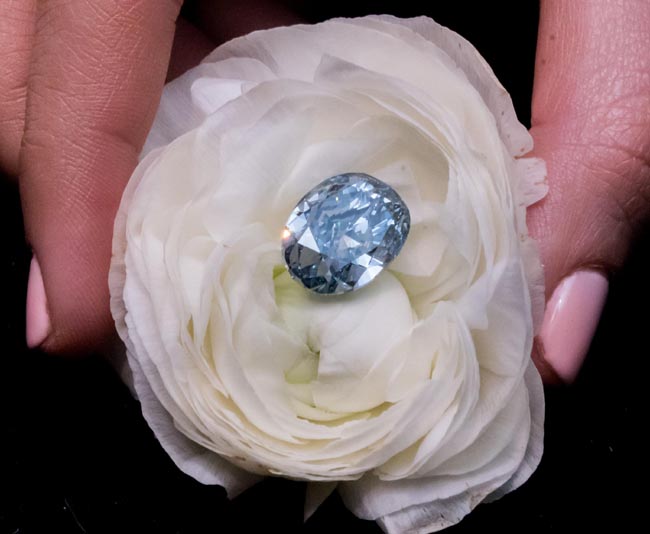 All’asta il diamante perfetto: è blu e vale oltre 30 mln di dollari