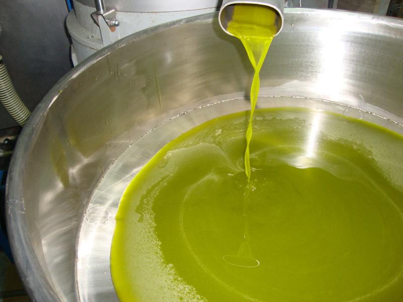 Europa, Olio tunisino Gli scivoloni della politica (di A. Gelormini) Europa, Olio tunisino Gli scivoloni della politica (di A. Gelormini)
