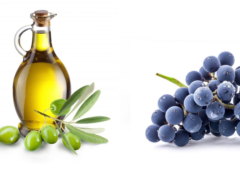 Vino e olio a Sestri Levante con “Mare & Mosto” Vino e olio a Sestri Levante con “Mare & Mosto”